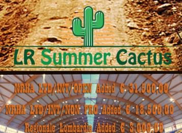 summer cactus manerbio