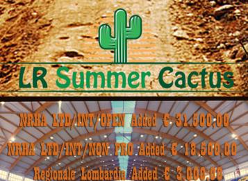 summer cactus manerbio summer cactus manerbio