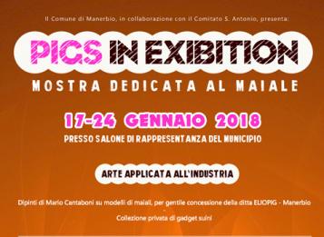 mostra maiali manerbio 2018 mostra maiali manerbio 2018