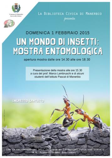 locandina-insetti locandina-insetti