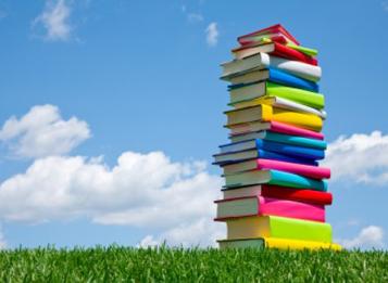 mercatino libro manerbio 2017 mercatino libro manerbio 2017