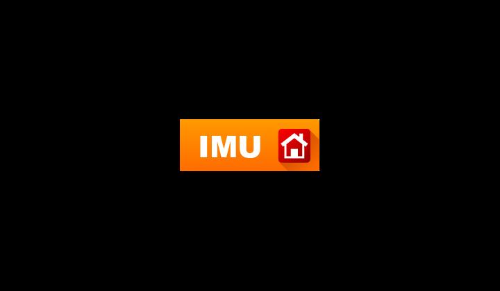 imu